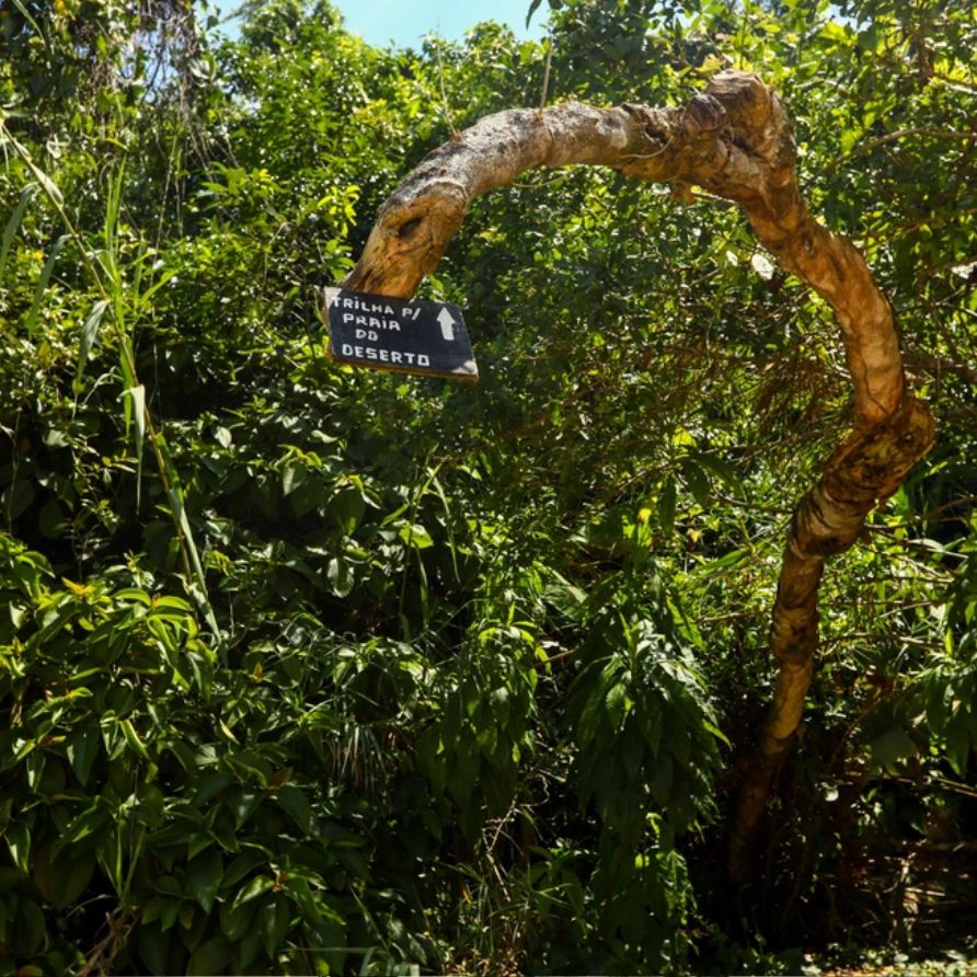 Trilha do Cedro